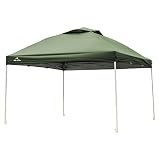 雑貨の国のアリス タープテント 3m×3m ワンタッチテント BIGテント BBQ キャンプ アウトドア用品 イベント 日よけテント (ad022 ポリエステル グリーン) [並行輸入品]