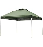 Amazon | 雑貨の国のアリス タープテント 3m×3m ワンタッチテント BIG