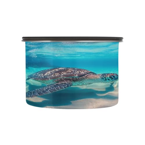 Contenedor Hermético de Acero Inoxidable Blueangle 500 ml