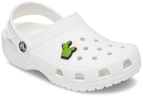 Image of Crocs Jibbitz Nature Shoe Charms | Jibbitz, Cactus with Flowers, Small