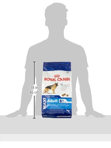 Royal Canin Medium Mature, 5+, 4 kg, 1er Pack (1 x 4 kg Packung), Hundefutter