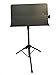 Audio2000'S AST444 Portable Metal Sheet with Carrying Bag for Orchestra