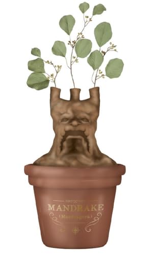 Vase de table Harry Potter Mandragore grand pot de fleurs pour plante
