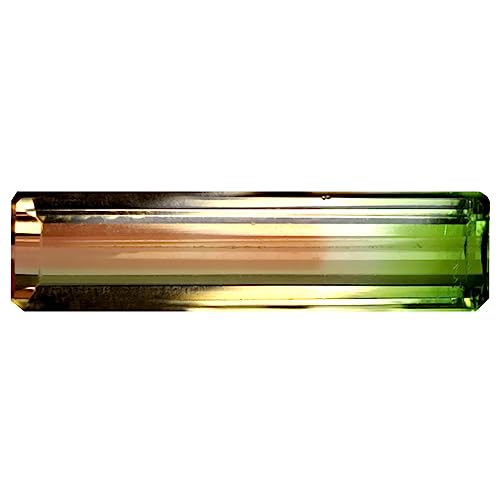 Tourmaline bicolore Mozambique 1.68 ct octogone pierre en vrac