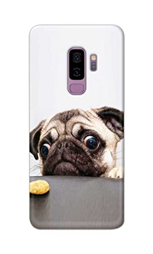 Image of Printed Hard Back Cover Case for Samsung Galaxy S9 Plus | Samsung S9+ Back Cover (Pug Dog) -203