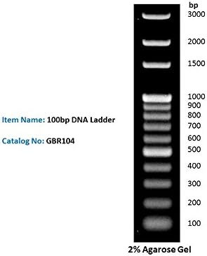100bp DNA Ladder DNA Marker for DNA RNA Agarose Gel Electrophoresis, 1ml/Vial, 200x Loads