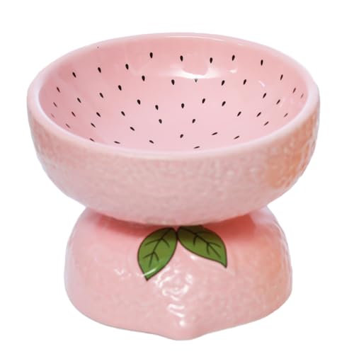Raised Cat Bowl The 15 best products compared Wild Explained