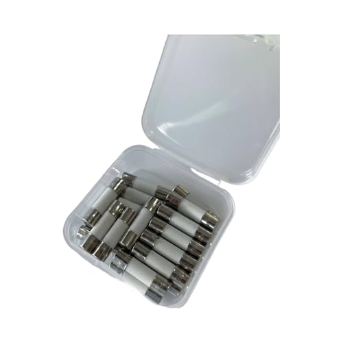 Tubes à fusibles en céramique 5x20mm 3A 250V pour petits appareils de maison Lot de 10
