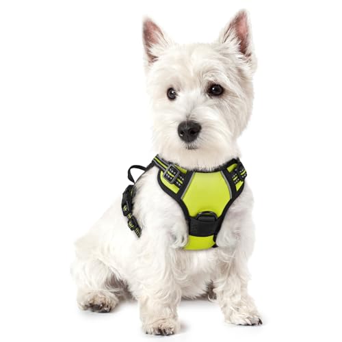 Image of rabbitgoo Dog Harness No Pull with 2 Leash Clips, Adjustable Soft Padded, Reflective Oxford No Choke Pet Vest with Easy Control Handle for Puppy, Green, XS