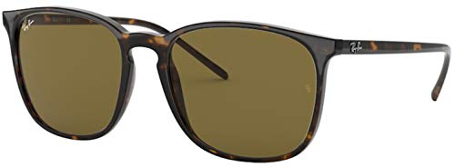 Ray-Ban RB4387F Sunglasses Bundle: RB 4387F 902/73 Tortoise Asian fit and Eyewear Cleaning Kit