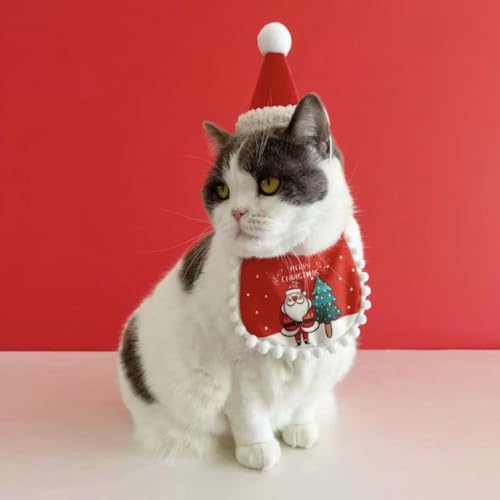 ybgXqƃ}t[Zbg L NX}X ߑ ybg Xq NX}X 2_Zbg ԗ΃o[Vu }WbNe[v _炩f ^ L Ή ψTCY  p[eB[ LOʐ^ v[g ֗ 