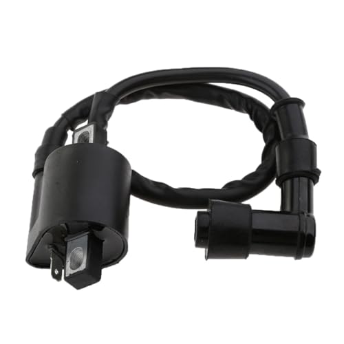 Bobina de encendido TW200 con interruptor y cable metálico de 300 mm para ATV 2