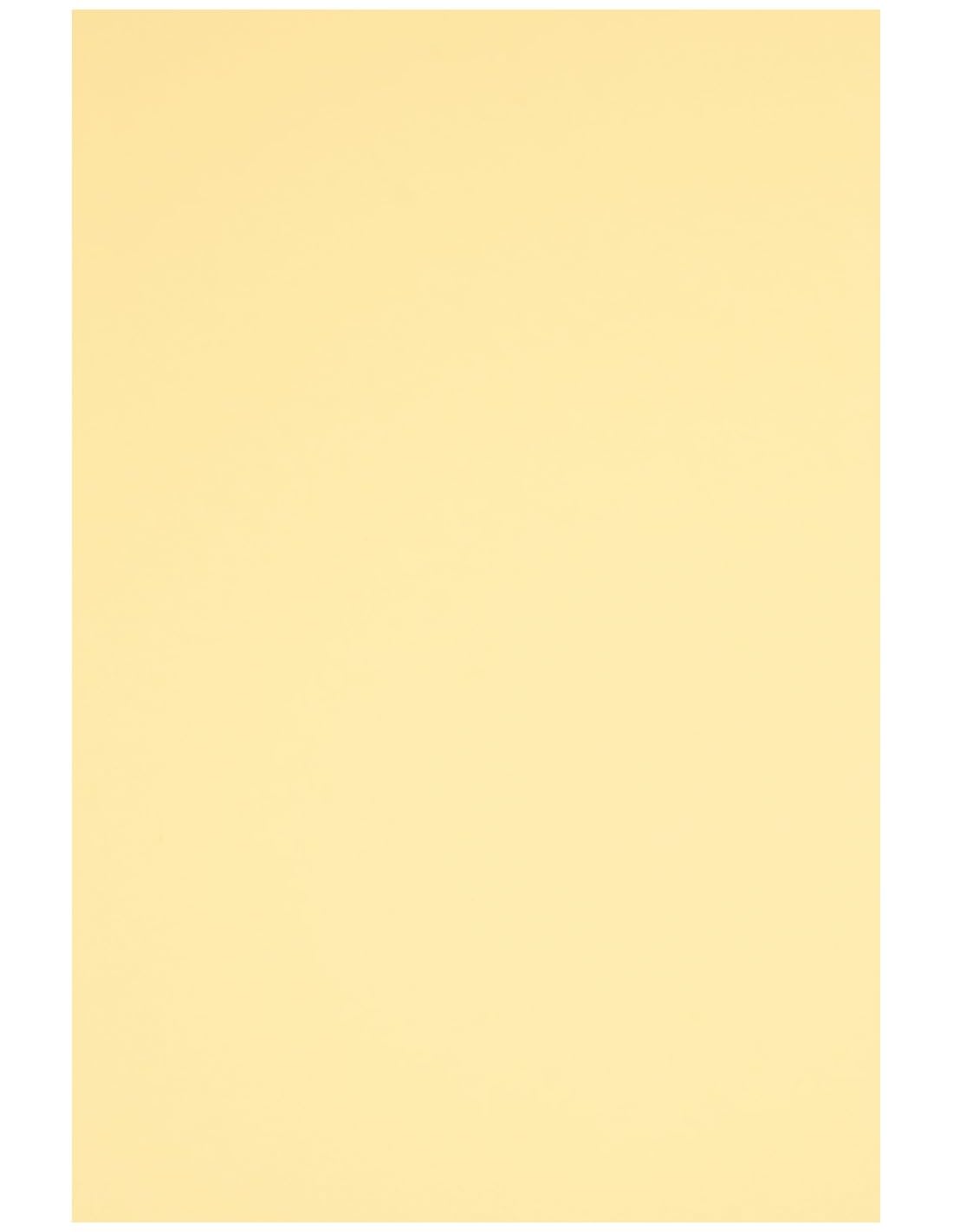 Netuno 100x Chamois Cardboard A4 210x297 mm 8.3x11.7 in 230gsm Rainbow Printable Coloured Paper Colourful cardstock for Card Making Scrapbooking DIY Crafts School Office Card Stock Craft Paper โ image 1