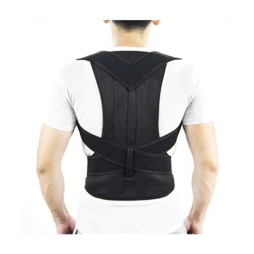 XS`5XL vXTCY wp obNu[X pEjp wS̃T|[gxg EEEwT|[g Ńu[X Lw(S)