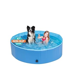 Foldablepoolforlargedogs6mmthickenedppboard3layersmeshpvcnonslipembossedpvccollapsiblehardplasticsummerswimmingpoolportablebathtubforpetscats47  Urban Country Home Decor Foldable pool for large dogs 6mm thickened pp board 3 layers mesh pvc non slip embossed pvc collapsible hard plastic summer swimming pool portable bath tub for pets cats 47  urban country home decor