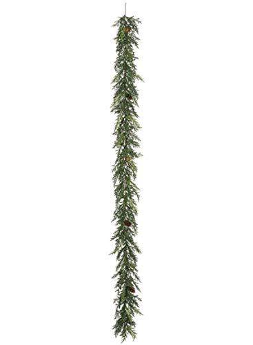 Arborvitae - Ala de ajo, 15,2 cm