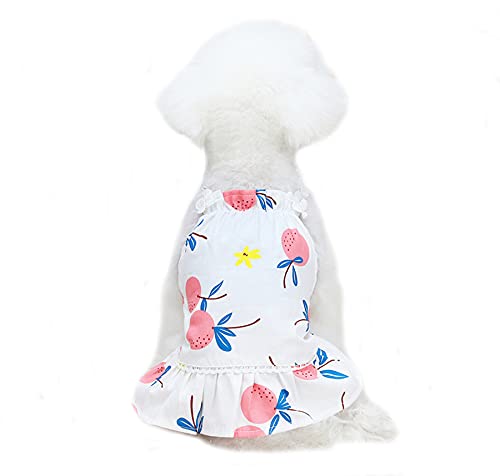 Maiitmor lC ybg s[X pm ybgpvZX Pl hbOEFA RX`[ lC  ̕ L ԕ o| EFfBO p[eB[ LOBe t (S, sN)