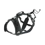 I-dog