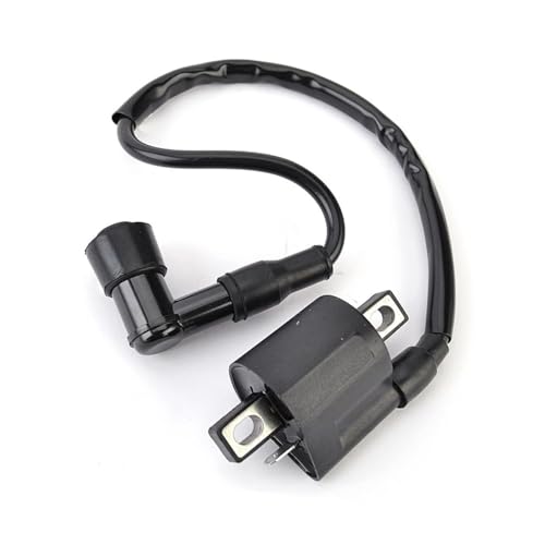 Bobine d'allumage YFM450 pour Grizzly 450 600 2002-2016