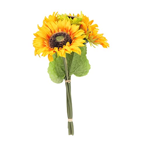 WRITWAA 1 ͋[Ђ܂ ԑ A ԗ lH z  Ђ܂葢 ԕ ʐ^Bep V~[Vt[ e[uZ^[s[X Orange S