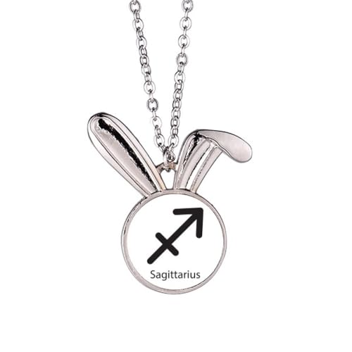 Collier Sagittaire avec pendentif lapin de Novembre Décembre en acier inoxydable
