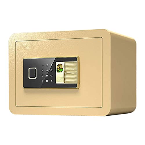 Serrure biométrique RLKHXBS armoire à double accès code et empreinte
