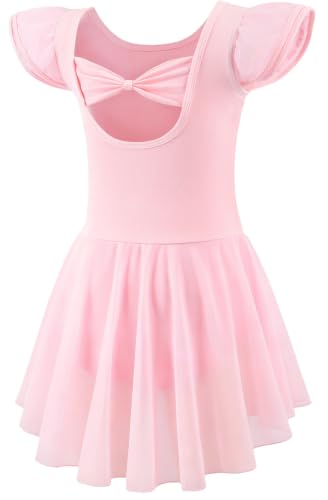 Mecceos Ballet Leotards with Skirt for Toddler Girls Dance Ruffle Ballerina Dresses Outfits (Ballet...