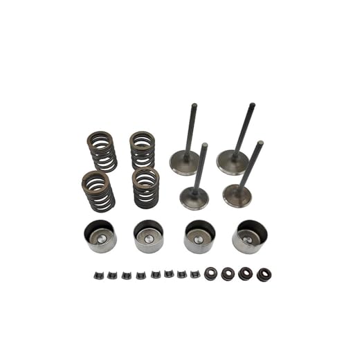 Kit de resortes de sello de válvula de culata DR-Z400E evita humo azul