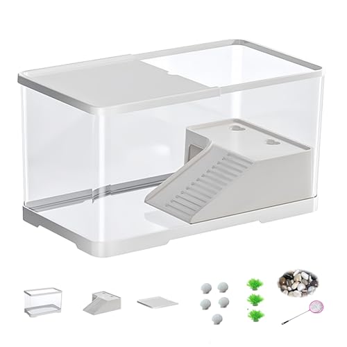 T̎P[X T  傫 Jp S҃Zbg Zbg Wt/[@\/ȒP/a肪֗  y 甠 TP[W Eoh~ T̊y T NK K {bNX rE ϋv ঒ ޗp Jn 360