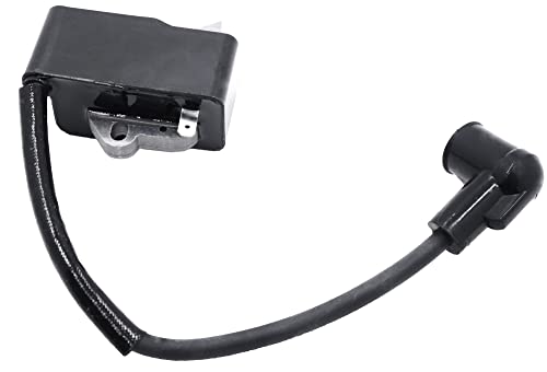 Hippotech il modulo Bobina di accensione Si Adatta...