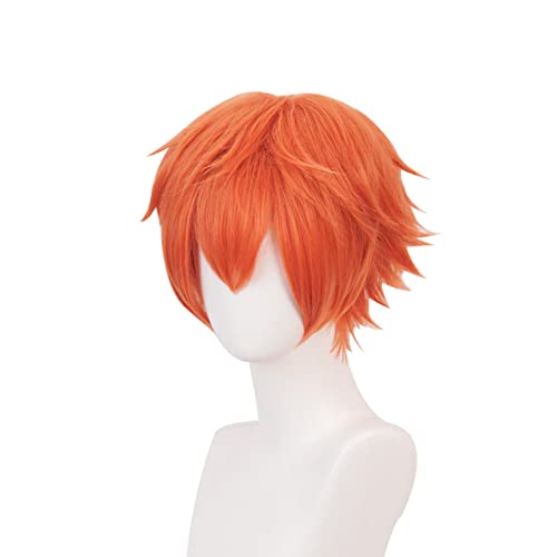 Gairyan Short Ginger Wig Cosplay Wig Unisex Anime Cosplay Wigs for Women/Men Straight Fluffy Wig Costume Theme Party Fancy Dress Wigs Halloween Wig Comic-Con Costumes Accessories - Image 3