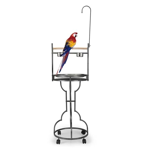 Parrot Stand Bird Perch Stand Bird Playstand with Easy Grip Tray Bowls Toy Hook Rolling Wheel Large Pet Gift Wrought Iron Play Ground Rolling Wheel (Black)