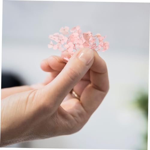 Natural Fresh Preserved Hydrangea Petals 1 Pack miniatura 2