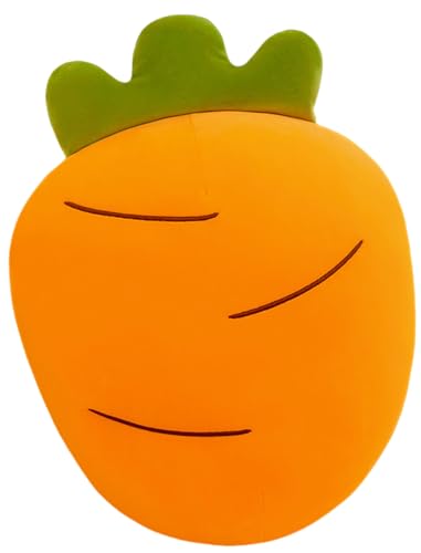 Zdaqian �j���W�� ������ ���Q�� �ӂ�ӂ� �_�炩�� ���G��ǂ� ���� �����O�N�b�V���� �Y���Q�܂��� �N�b�V���� �����܂��� �l�Q �ӂ���� �D������� �N���X�}�X �Ԃ̏��� �a���� �v���[���g (C,60cm)