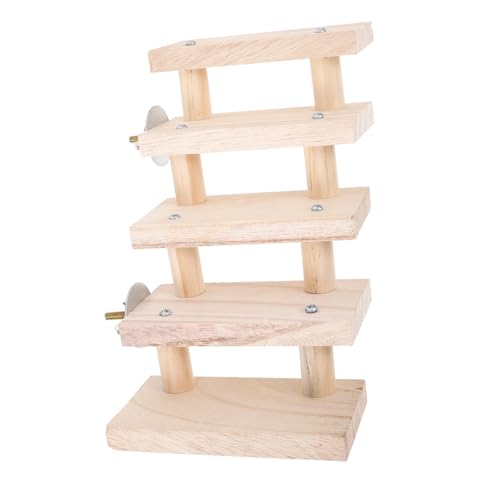 Healifty ``͂ bgP[W bg̉B bĝ MjA nX^[NC~O_[ nX^[P[Ŵ͂ ``̂ ؐ