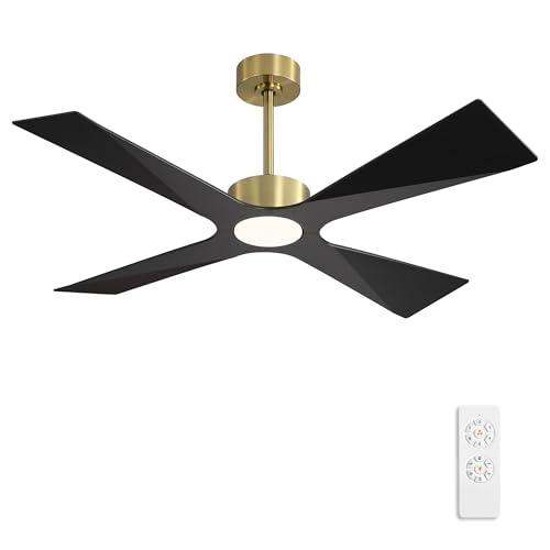 WINGBO 64" Wet Rated Outdoor Ceiling Fan with Lights, 4