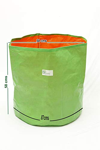 Image of Bio Blooms Agro India Pvt.Ltd. 24 x 24 Inch HDPE Plant Grow Bags for Terrace Gardening | Pack of 10 | Green & Orange Color | Outdoor Use