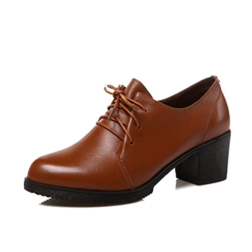 [uEP] 傫TCY [XAbvV[Y C IbNXtH[hV[Y fB[X vC ʋΌC 23.5cm ʊwC RC U[V[Y  CG[ Vv n JWA tH[} `L[q[ t H~ pvX }jbV