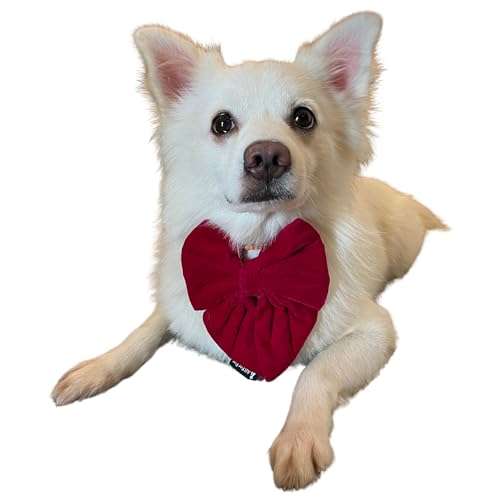 All For Fur Dog Sailor Bow Tie | Collar Insert/Pull On | Bowtie with Tail | Luxury Dog Accessories | Bow for Small, Medium & Large Dogs | Red Velvet (B0C1GZSQZR) Amazon Price History, Amazon Price Tracker