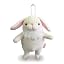 lop ear white