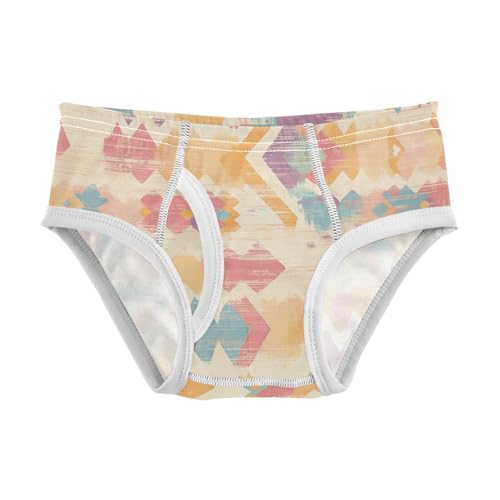 Traditional Tribal Aztec Little Boys Cotton Kids Underwear Breathable Children Panties