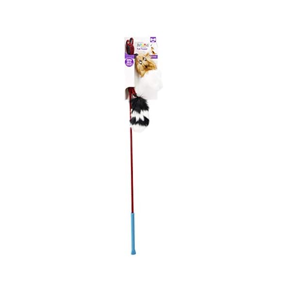 Dog Training Toys and Agility Kits