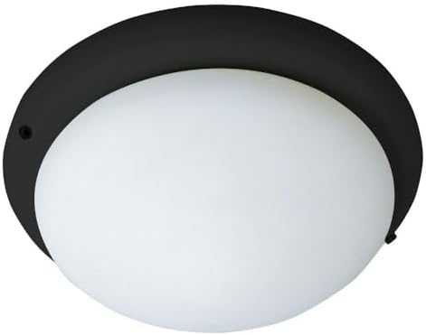 Maxim Accessory - 1 Light Ceiling Fan Light Kit