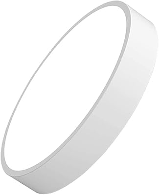 シーリングライト led 30W ４~6畳用 昼光色(6000k) 薄型 小型 引っ掛け式 北欧 簡単 和室 寝室 玄関 門灯 廊下 リビング 台所用 簡単取付 省エネ PSE認証 Herischen（白）