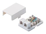 Steren 301-146WH 4C 2-Tel Surface Jack UL, White
