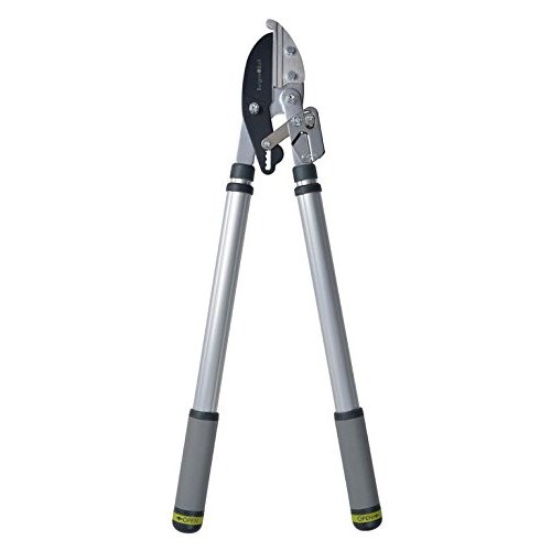 Burgon & Ball RHS Endorsed Telescopic Handled Ratchet Lopper, 72 cm - 104 cm Overall Length