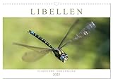 VIELFALT - Bildkalender in verschiedenen Formaten z.B. DIN A5, DIN A4, DIN A3 sowie DIN A2. Ob Naturmotiv, Gemälde oder Fotos, ideal für ein persönliches Wohlfühlambiente.