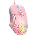 Kabelgebundene PC-Gaming-Maus: Hochpräziser Sensor, RGB-Hintergrundbeleuchtung, einstellbare DPI, 7 programmierbare Tasten, ergonomische Maus für Büro und Gaming unter Windows/Mac/Linux/Chrome OS