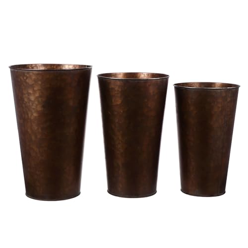 Pots de fleurs en fer style antique pour succulentes d'interieur - 2