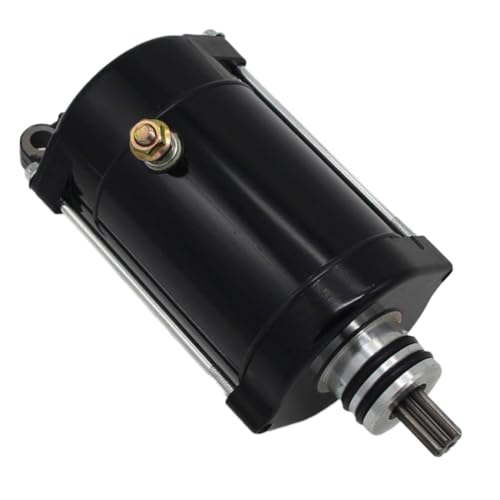 Démarreur et magnéto pour WVT1100 et XLT800 : kit de réparation